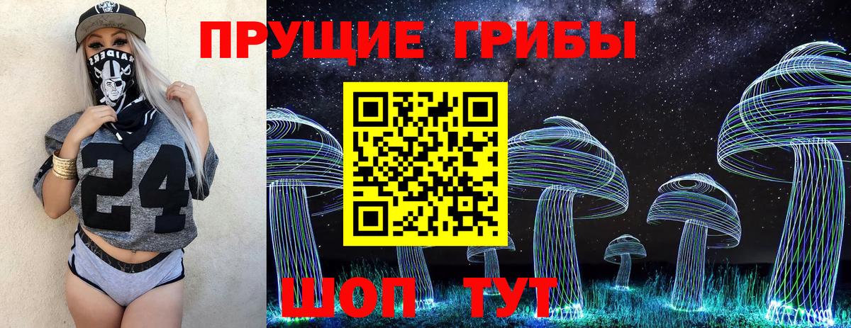 Псилоцибиновые грибы Cubensis  Псилоцибиновые грибы Psilocybine cubensis  Сызрань  магазин  наркотиков  Вход с VPN 