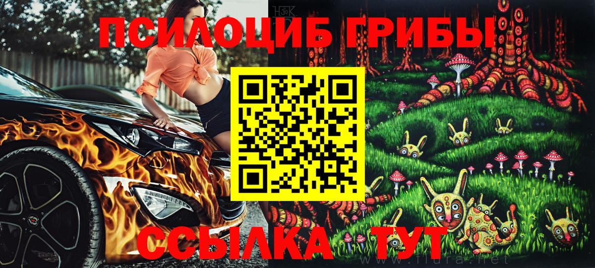 Галлюциногенные грибы Psilocybe Сызрань
